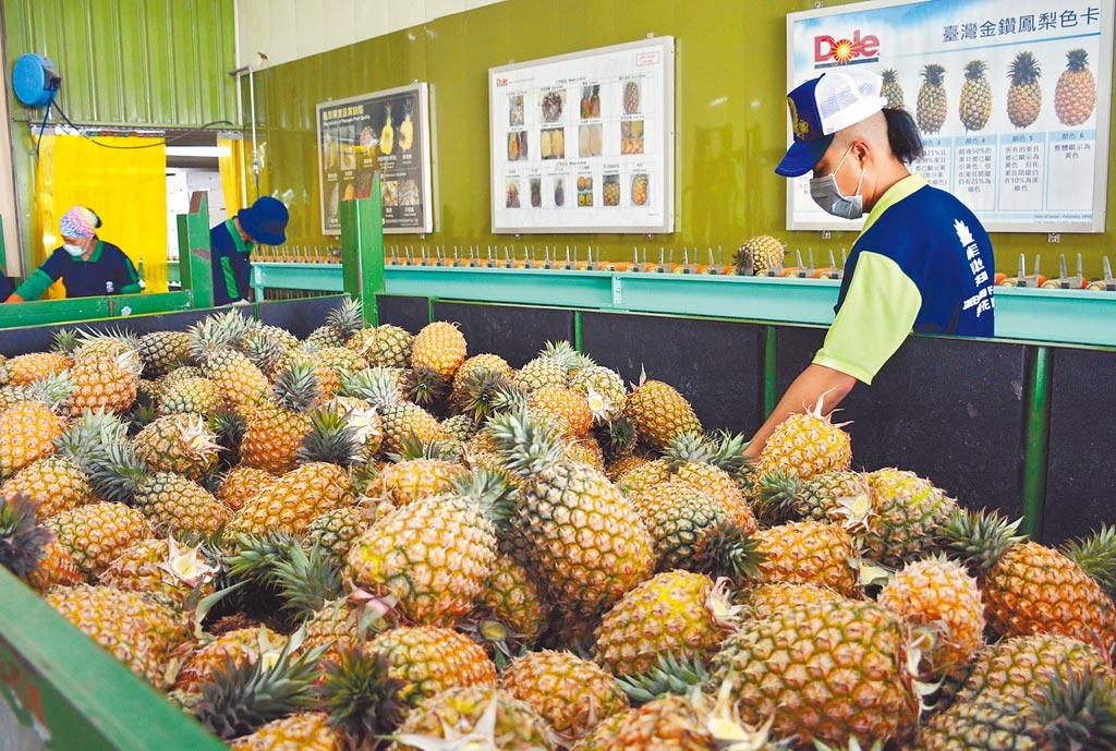 大陸與臺灣最新情況，深化交流，共謀發(fā)展，大陸與臺灣深化交流，共謀發(fā)展新篇章