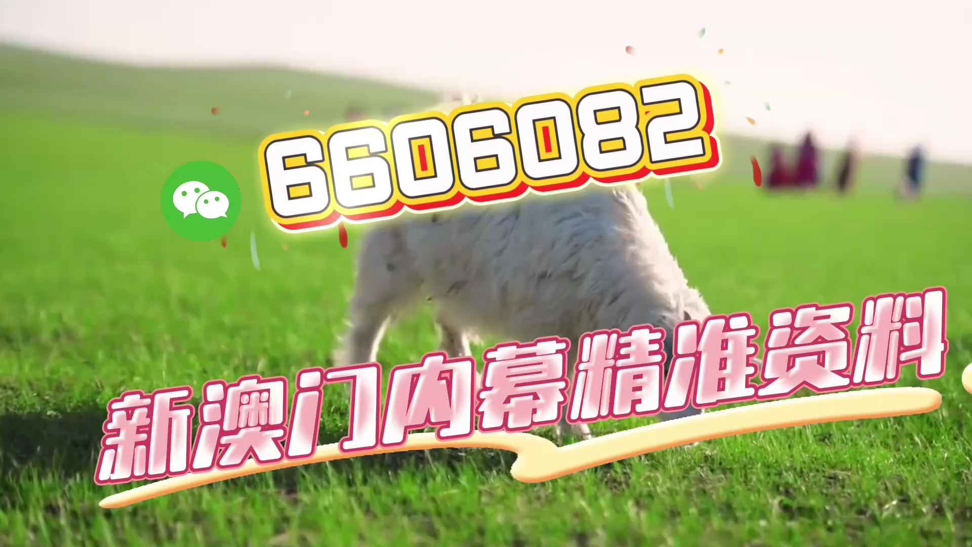 澳門四肖八碼期期準(zhǔn)免費(fèi)資料下載——揭秘彩票預(yù)測(cè)真相，澳門四肖八碼期期準(zhǔn)揭秘彩票預(yù)測(cè)真相與免費(fèi)資料下載