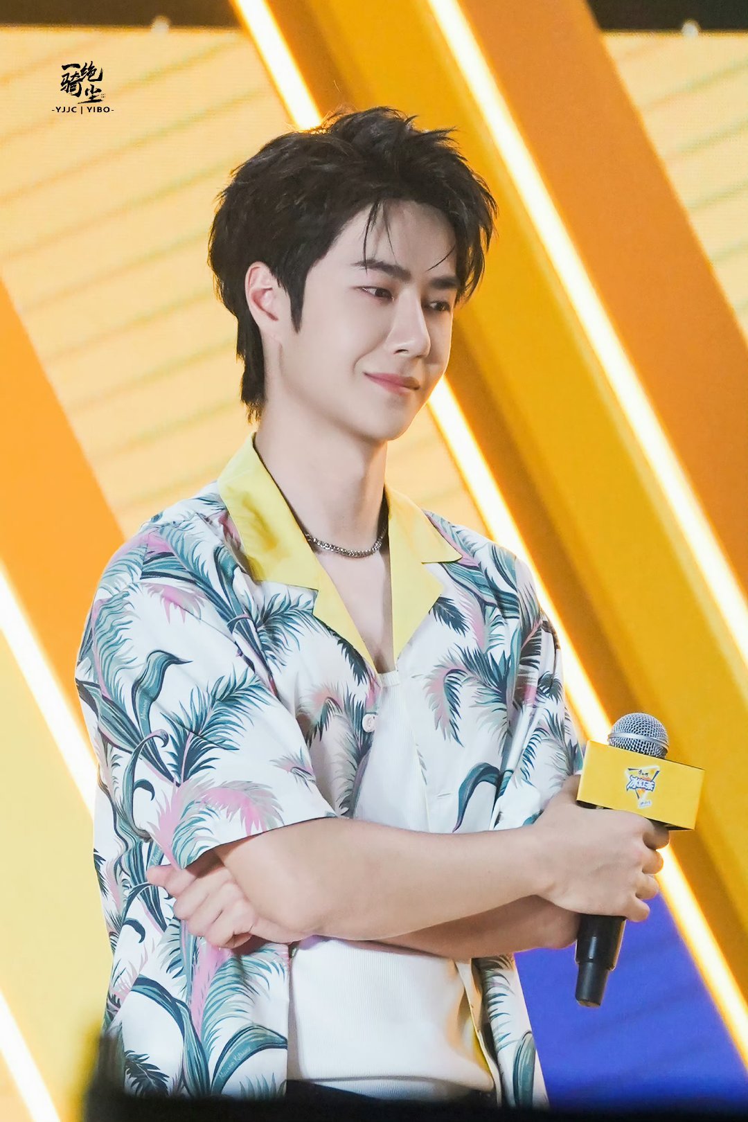 包租婆平特王中王一肖，揭秘角色魅力與背后的故事，揭秘包租婆平特王中王一肖的角色魅力與背后故事