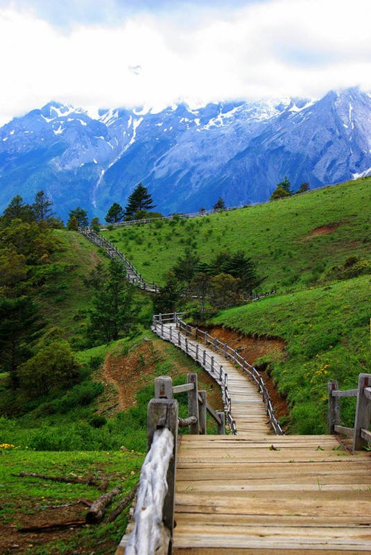 玉龍雪山門票免費政策詳解，玉龍雪山門票免費政策全面解析