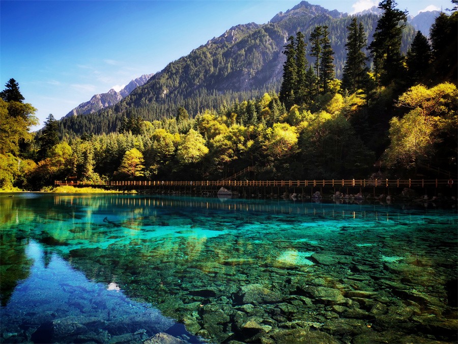 阿壩旅游網(wǎng)，探索九寨溝門票的最佳選擇，阿壩旅游網(wǎng)，探索九寨溝門票的最佳平臺