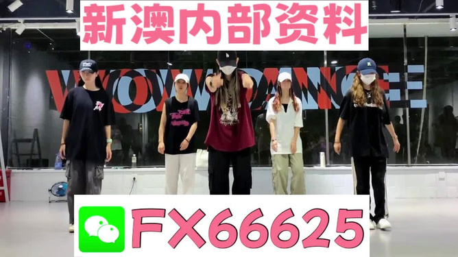 新奧天天免費(fèi)資料大全——探索與優(yōu)化的SEO之旅，新奧天天免費(fèi)資料大全，SEO探索與優(yōu)化之旅