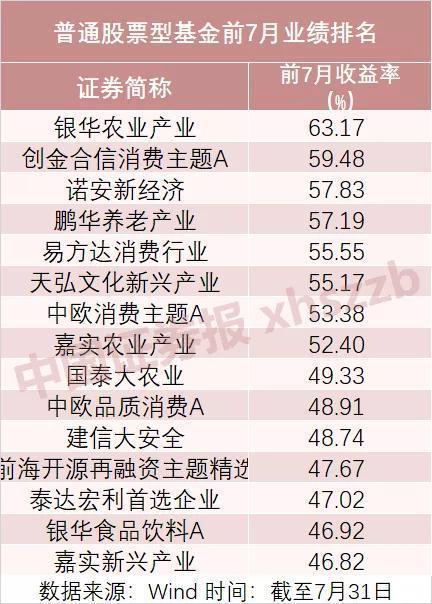 諾安價值增長基金的凈值表現(xiàn)與市場洞察，諾安價值增長基金凈值表現(xiàn)與市場洞察分析