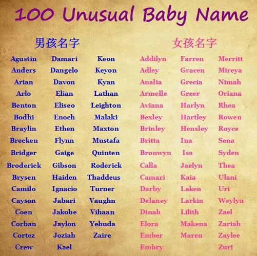 關于各叫什么名字的SEO文章，SEO文章，名字解析與優(yōu)化策略指南