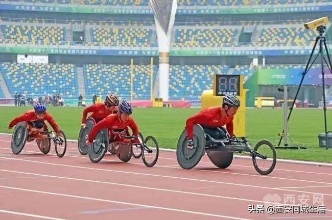 探索澳門未來，2025新澳門正版免費資本車展望，澳門未來展望，2025資本車正版免費探索之旅