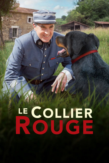 四不像王中王必中一肖，揭秘背后的秘密與策略，揭秘四不像王中王必中一肖的秘密與策略，揭秘背后的真相與策略