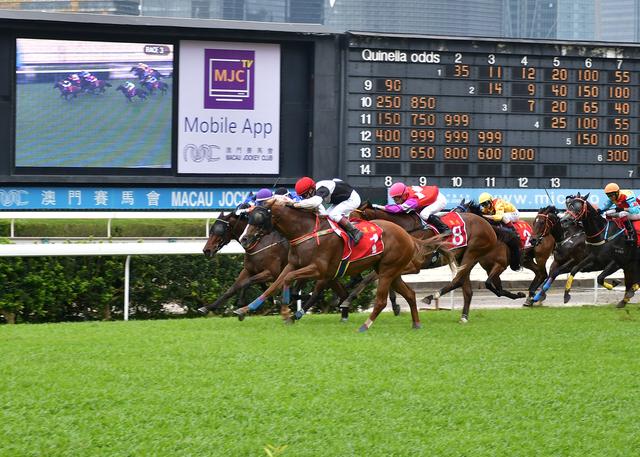 澳門賽馬會資料最準一碼，深度解析與最新資訊，澳門賽馬會資料解析，最新一碼與深度資訊匯總