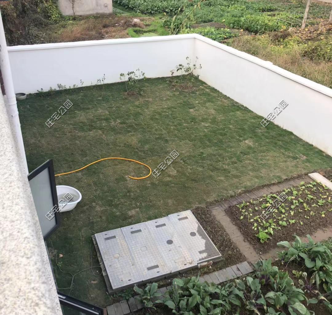 一肖中2碼，揭秘彩票背后的秘密與策略，揭秘彩票背后的策略與秘密，一肖中兩碼解析