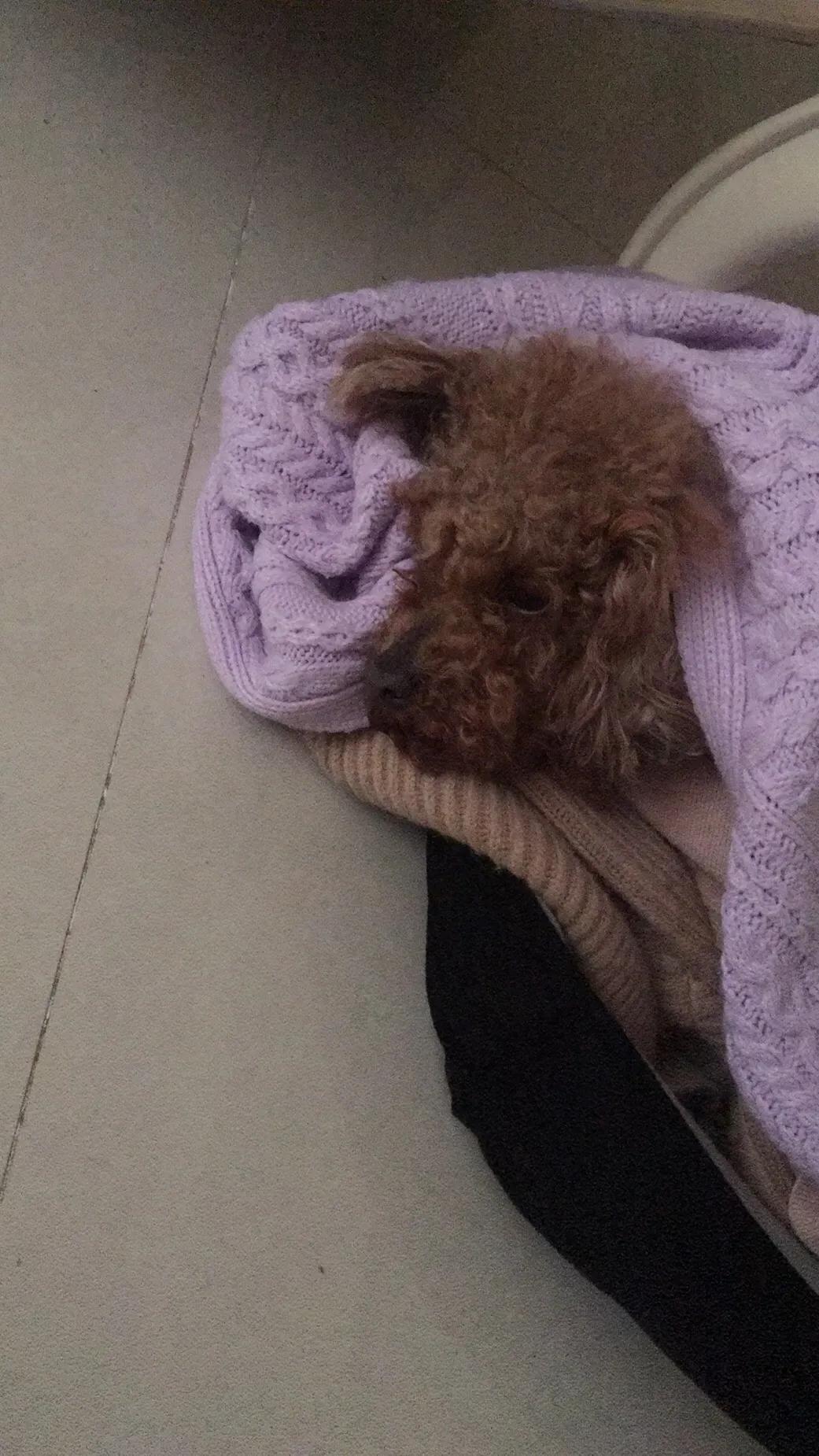 急性腸胃炎如何緩解，有效的應對方法，急性腸胃炎緩解攻略，有效應對方法大盤點