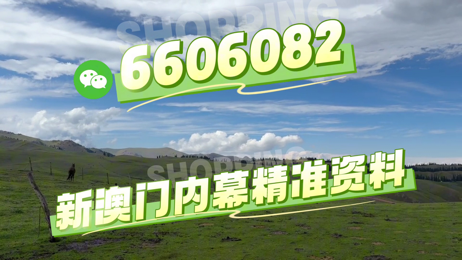 澳門今晚必開一肖一特，深度解析與預(yù)測，澳門今晚生肖特碼深度解析與預(yù)測，一肖一特必開趨勢探討
