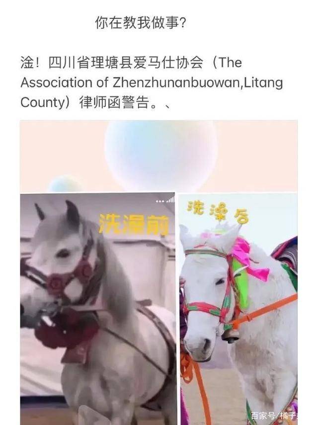 一馬爆特圖，揭秘背后的故事與SEO優(yōu)化策略，揭秘一馬爆特圖的背后故事與SEO優(yōu)化策略全攻略