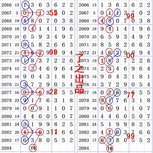 王中王三肖選一碼，揭秘背后的秘密與策略，揭秘王中王三肖選一碼背后的秘密與策略之道