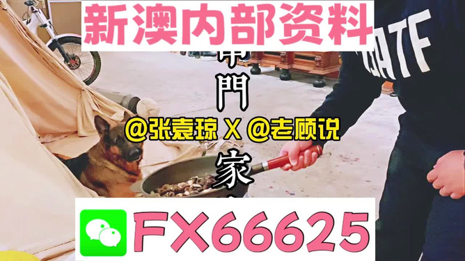澳門正版管家婆資料大全，全面解析與深度探索，澳門正版管家婆資料大全，全面解析與深度探索之旅