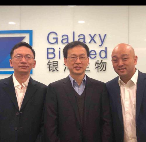 關(guān)于代碼000806的奧秘，深度解析與SEO優(yōu)化策略，代碼000806奧秘揭秘，深度解析與SEO優(yōu)化策略探討